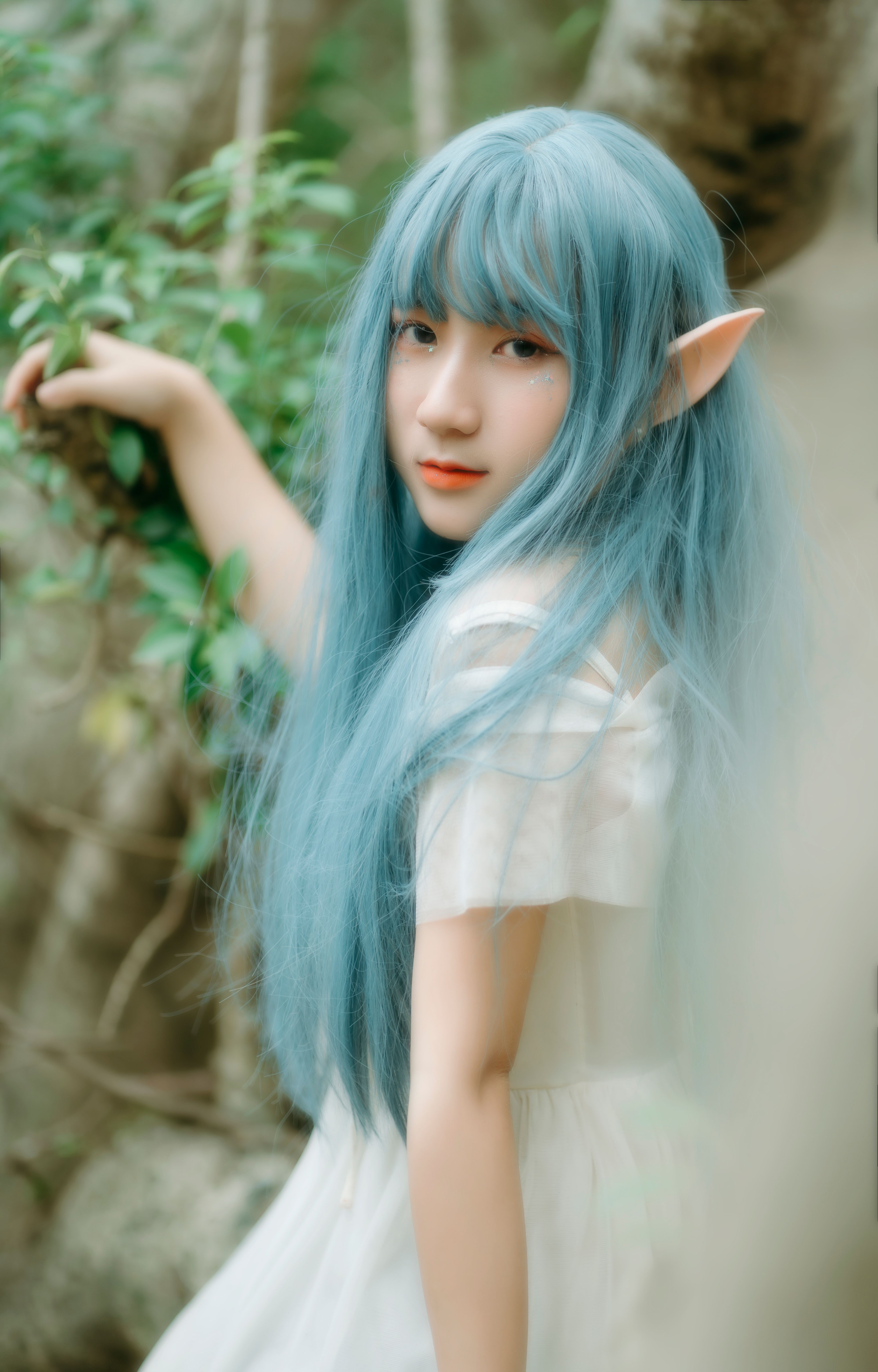 葬送的芙莉莲 第二季｜2026 治愈神作回归 🌸